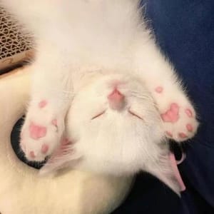 Avatar do usuário Ana